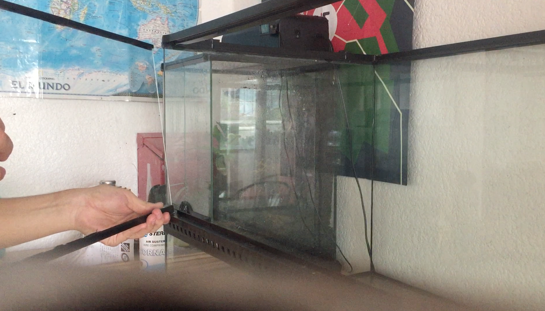 How to dismantle/fix broken glass on Exo Terra terrarium Dendroboard